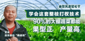90%�Ĵ����߲˶��ܹ����� ������